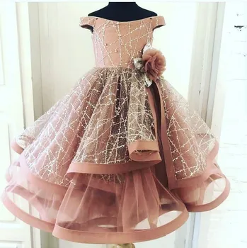 Blush Pink 2020 Gėlių Mergaičių Suknelės Kamuolys Suknelė Maža Mergaitė, Vestuvių Suknelės, Derliaus Off Peties Bendrystės Inscenizacija Suknelės