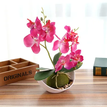 Bonsai Kūrybos Apdailos Trigeminal Drugelių Orchidėja, Dirbtinės Gėlės Mėnulis Baseino Apdailos Imitacija Augalų Su Vazonas