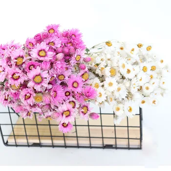 Daisy Natūralių Džiovintų Gėlių Puokštė Apdailos Šalies Prekių Rekvizitai Foto Dekoratyviniai Augalai, Gėlės, Dirbtinės Didmeninės