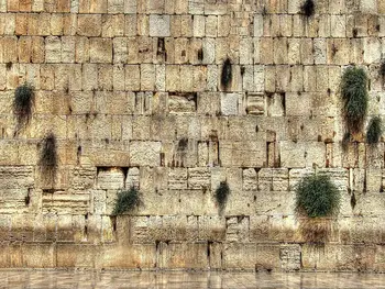 Gobelenai Papuošti Kambarius Mieste Jeruzalės, Vakarų Sienos