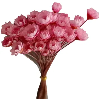 Natūralios Sausos Gėlės Brazilijos Mažų Žvaigždučių Daisy Dekoratyvinis Džiovintos gėlės Mini Daisy Puokštės, Vestuvių Gėlių Išdėstymas