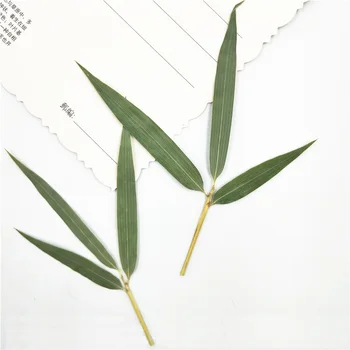Naujas Presuotų Džiovintų Bambuko lapų Natūralios sausos Augalų Epoksidinės Dervos Pakabukas Karoliai, Papuošalai Priėmimo Amatų 