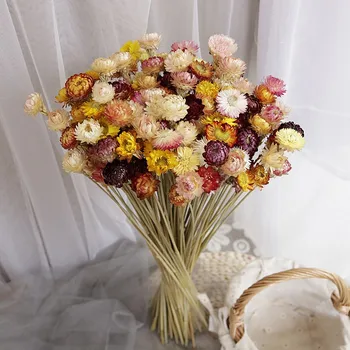 Rose Saulučių Džiovinti Gamtos Nekilnojamojo Gėlių Oro-Džiovintų Gėlių Puokštę Namuose, Stalo Dekoravimas Gėlių Išdėstymas
