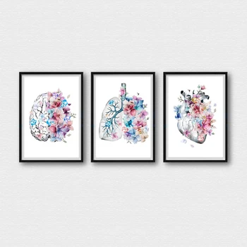 Žmogaus Smegenys Širdies Anatomija Plakato Meno Kūrinius Medicinos Sienos Nuotrauka Studentas Medicinos Drobė Spausdinti Tapybos Ligoninės, Klinikos Dekoras