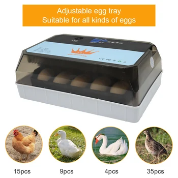15 Kiaušinių Inkubatorius Mini Atnaujinti Automatinį Brooder Vištienos Automatinė Žąsų Paukščių Putpelių Brooder Inkubavimo Įranga Nuotrauka 2