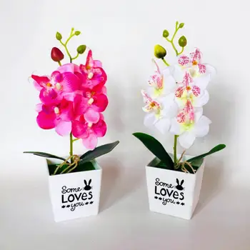 50%HOTArtificial Gėlės Phalaenopsis Orchidėja Bonsai Netikrą Gėlės Vazonuose Darbalaukio Papuošalai Namų Puošybai Vestuvių Papuošalai Nuotrauka 2