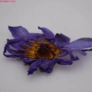 Natūralūs Džiovinti Blue Lotus Flower Egipto Nymphaeaceae Caerulea Žolelių Nuotrauka 2