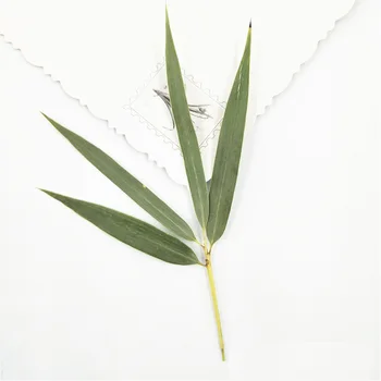 Naujas Presuotų Džiovintų Bambuko lapų Natūralios sausos Augalų Epoksidinės Dervos Pakabukas Karoliai, Papuošalai Priėmimo Amatų 