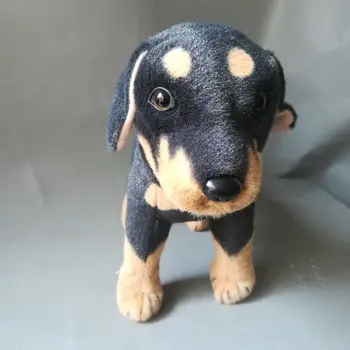 realaus gyvenimo žaislų apie 32x25cm puikus nuolatinis Rottweiler šuo minkštas pliušinis žaislas,gimtadienio dovana h0138 Nuotrauka 2