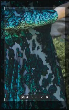 Verngo Aukšto Kaklo Žalia Nėrinių Ilgomis Rankovėmis, Vakaro Suknelės Arabų Moterų Oficialų Promenadzie Suknelė Ypatinga Proga Mama Chalatai Nuotrauka 2
