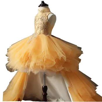 Šampanas Mergaičių Pirmosios Komunijos Suknelė Vaikų Inscenizacija Kamuolys Suknelė Mergina Gėlių Vestuvių TUTU Sukneles Vaikams Nuotrauka 2